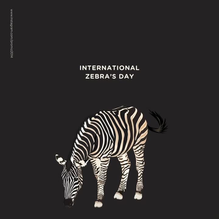 李敏镐的幕后花絮