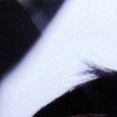 粉絲拍下的都暻秀 (D.O.)瞬間