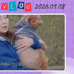 宋智孝的近期活動照