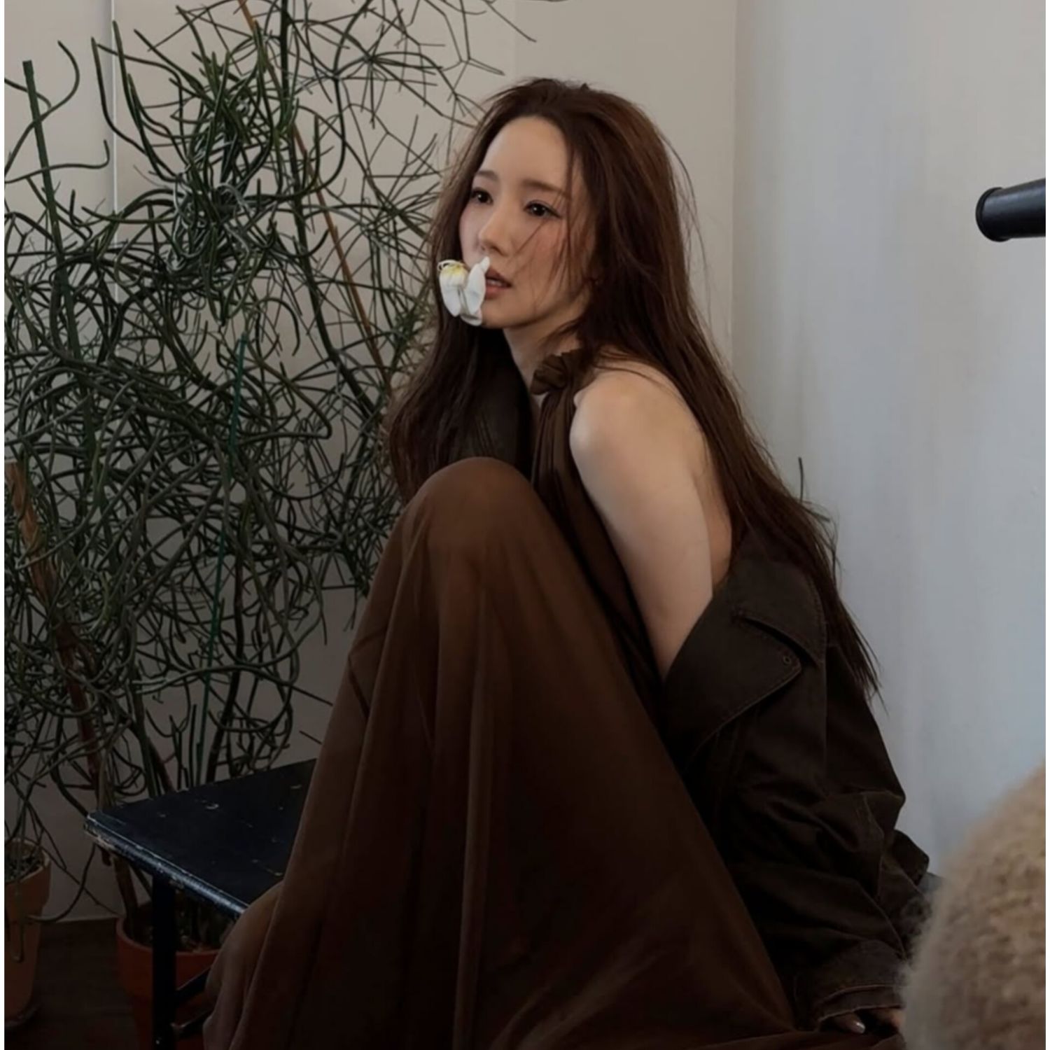 朴敏英的近期活動照