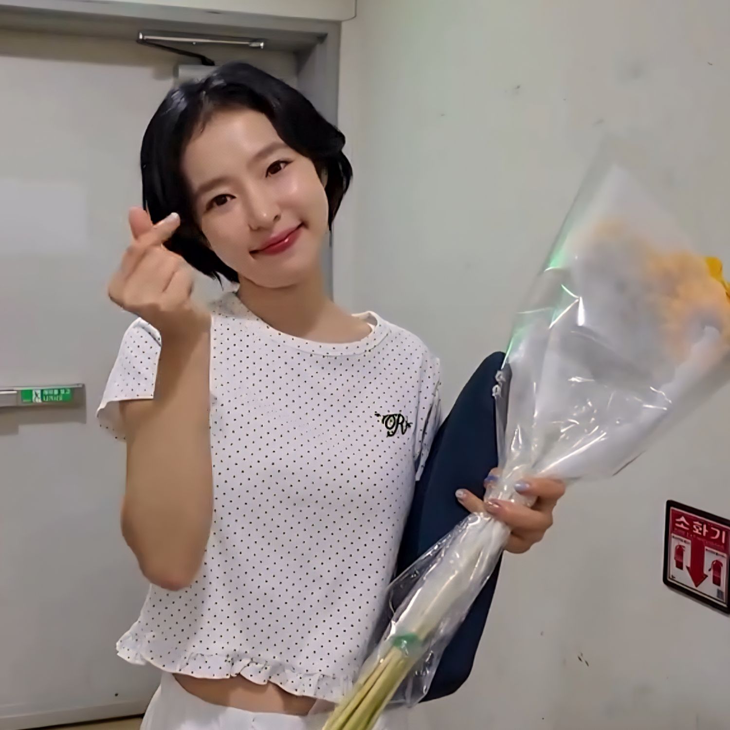 ホンジャの最新写真