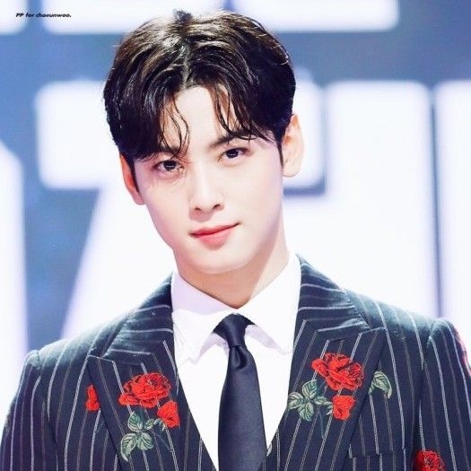 A moment captured by a fan of Cha Eunwoo