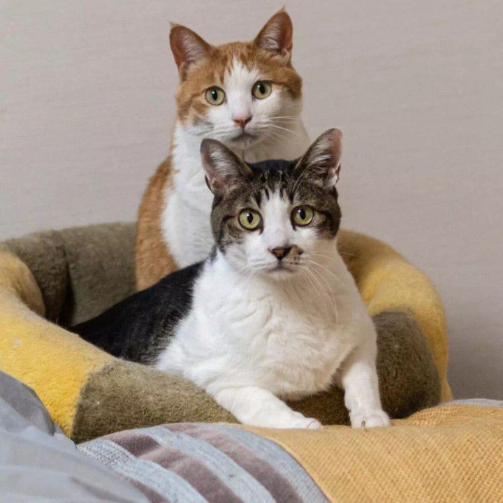 金喜愛的幕後花絮