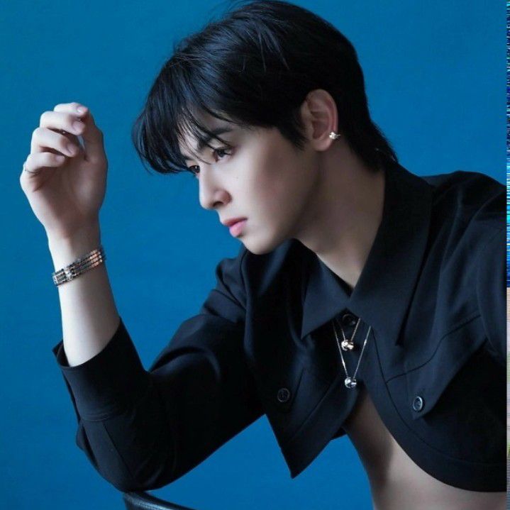 Behind-the-scenes cut of Cha Eunwoo