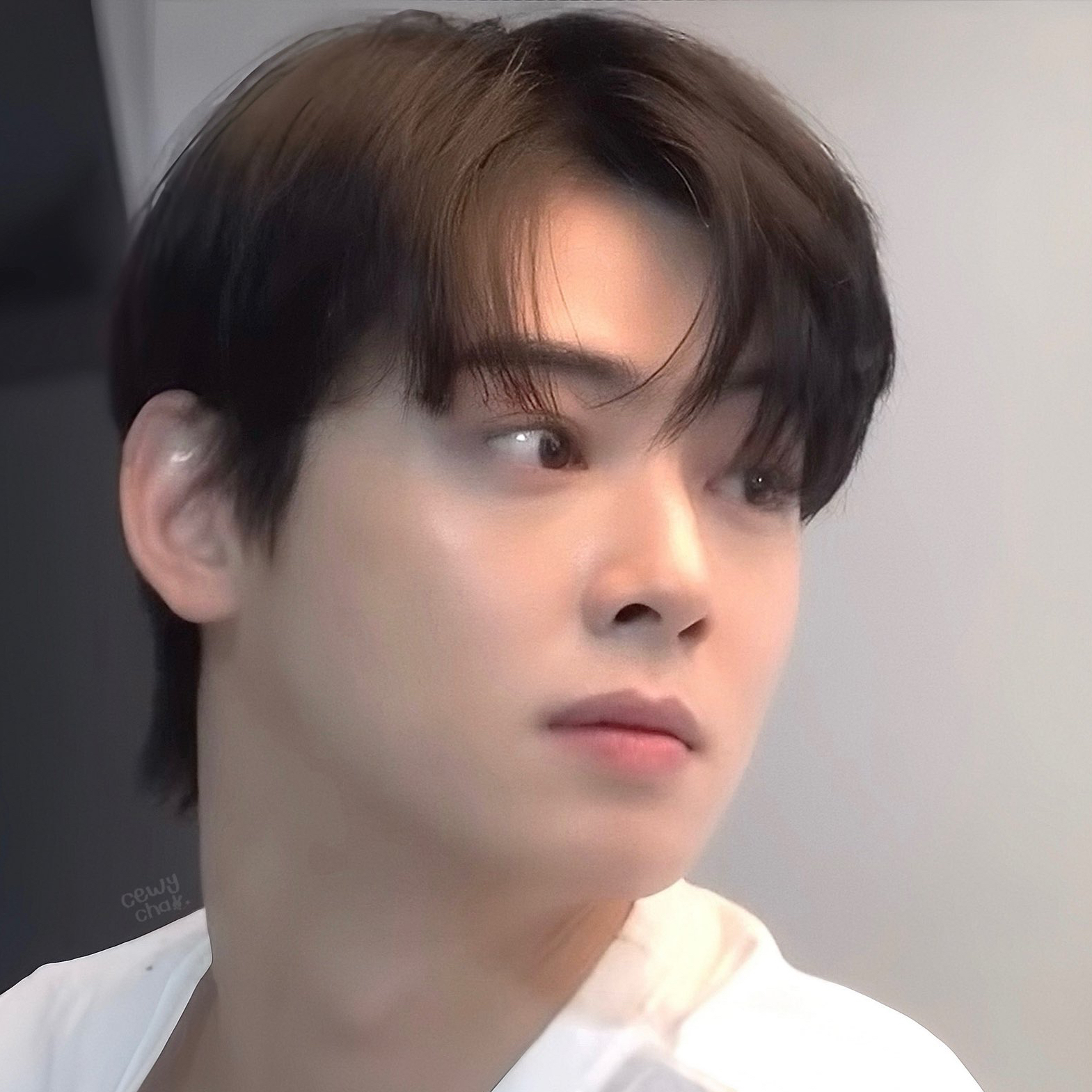 チャ・ウヌの最近の活動ショット