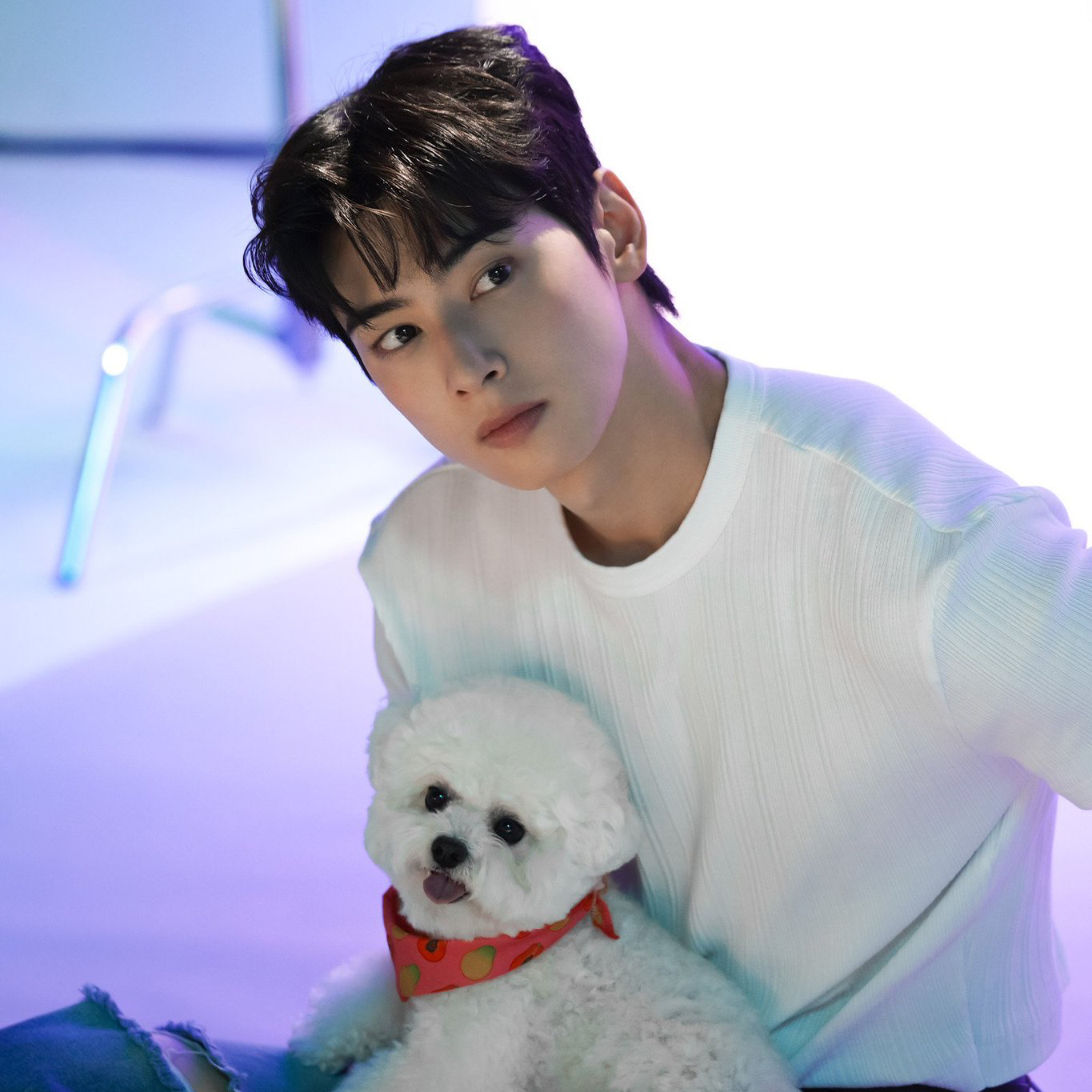 粉丝拍下的车银优瞬间