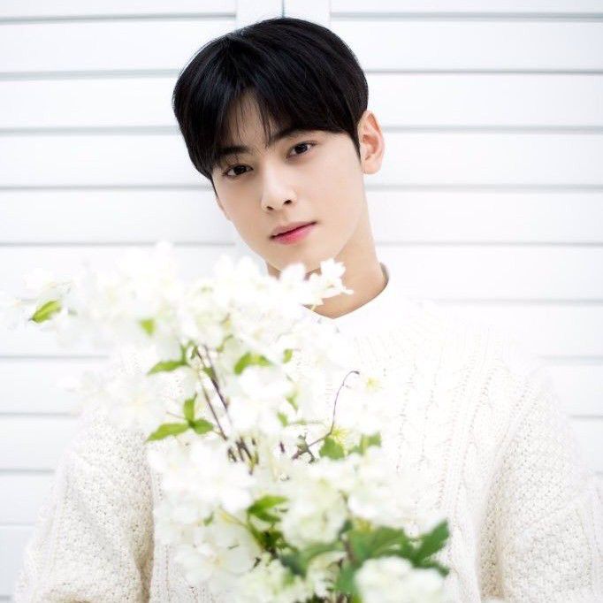 Behind-the-scenes cut of Cha Eunwoo