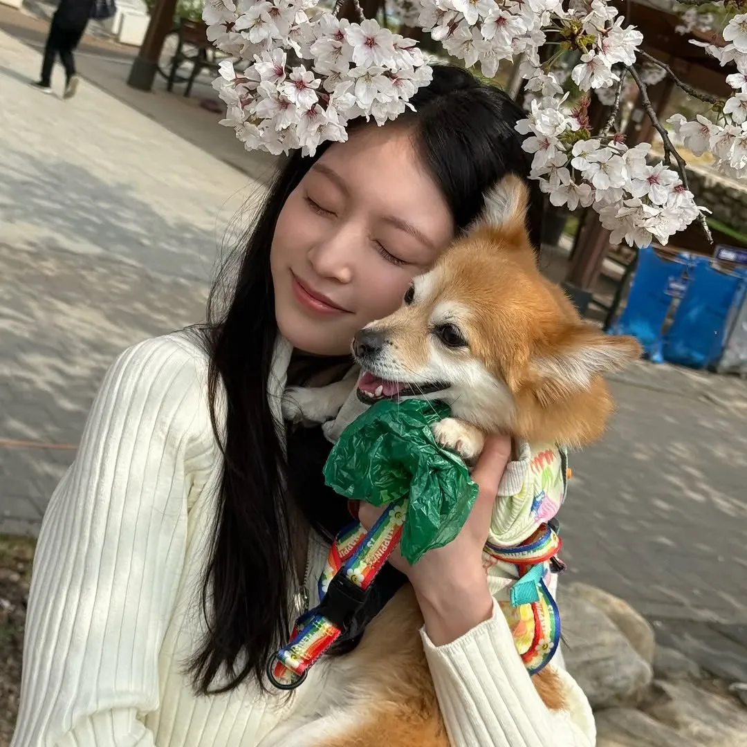 Recent activity shot of Gong Seungyeon