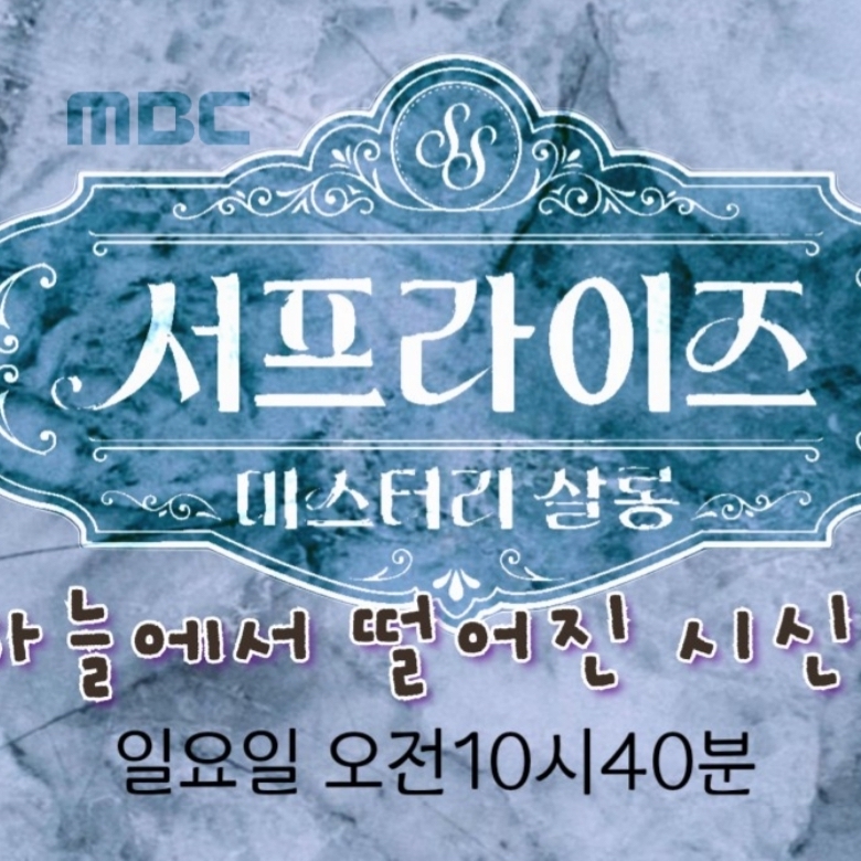 지금 주목받는 셀럽 게시글