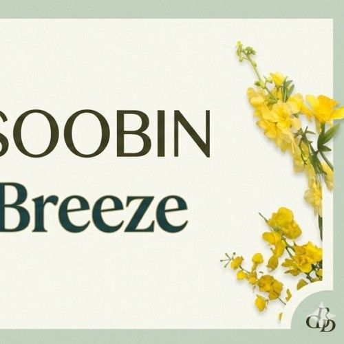 A moment captured by a fan of Chae Soobin