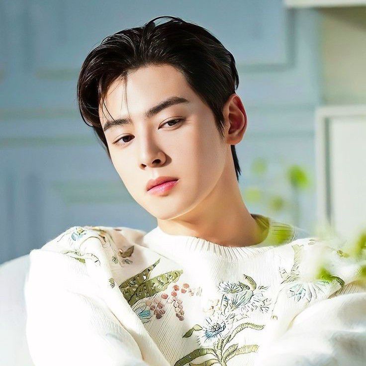 A moment captured by a fan of Cha Eunwoo