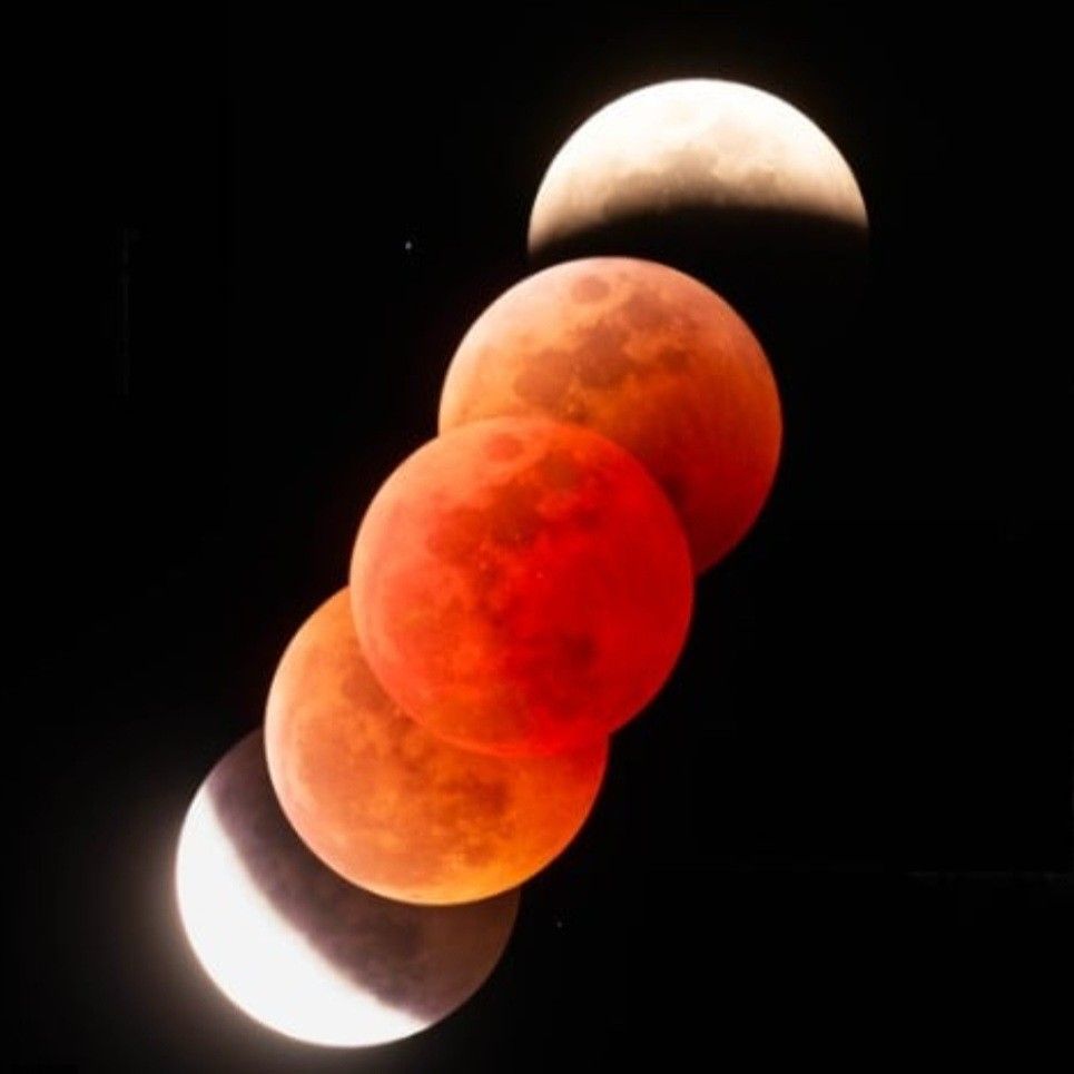 Latest photo of Jin Haesung