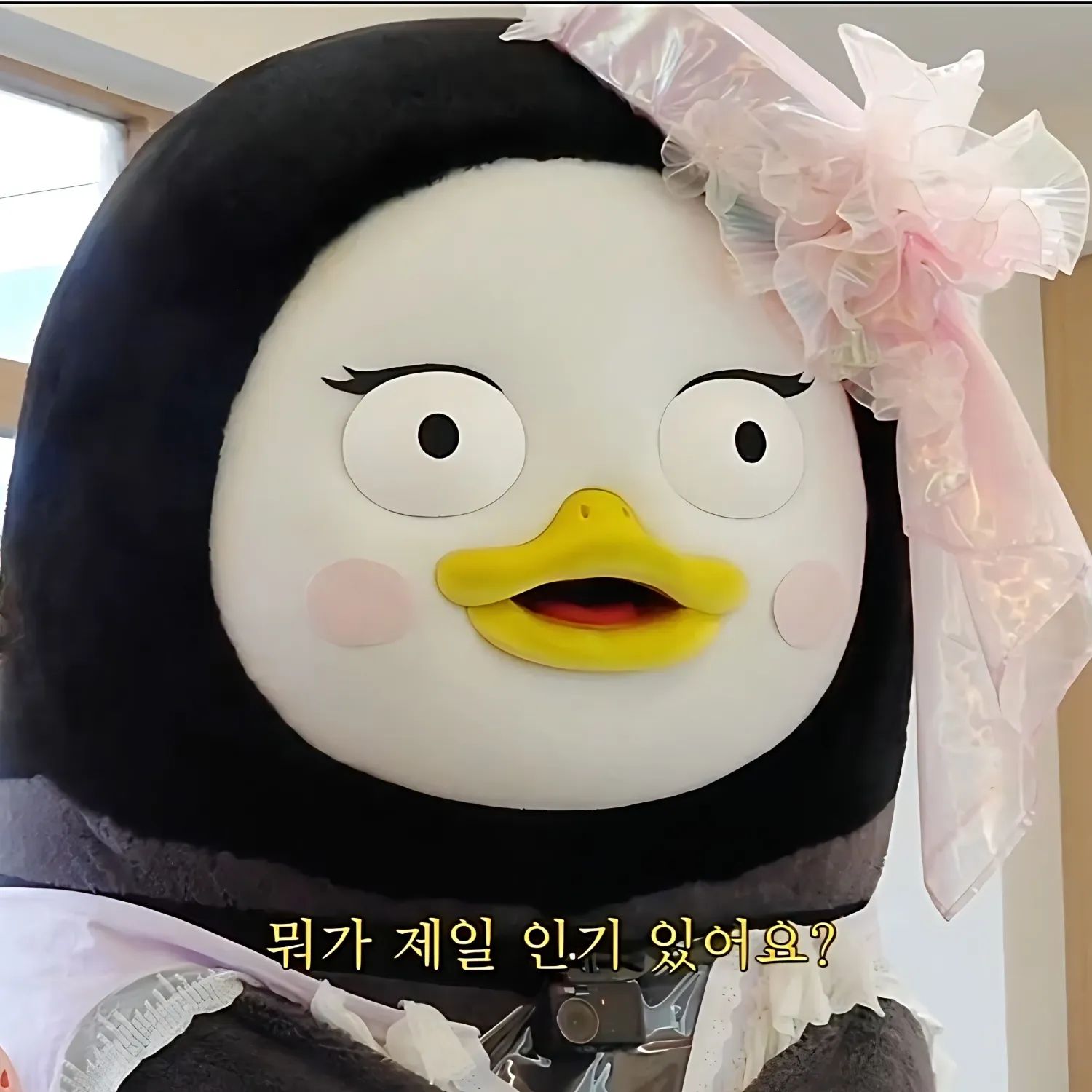 펭수의 최신 사진