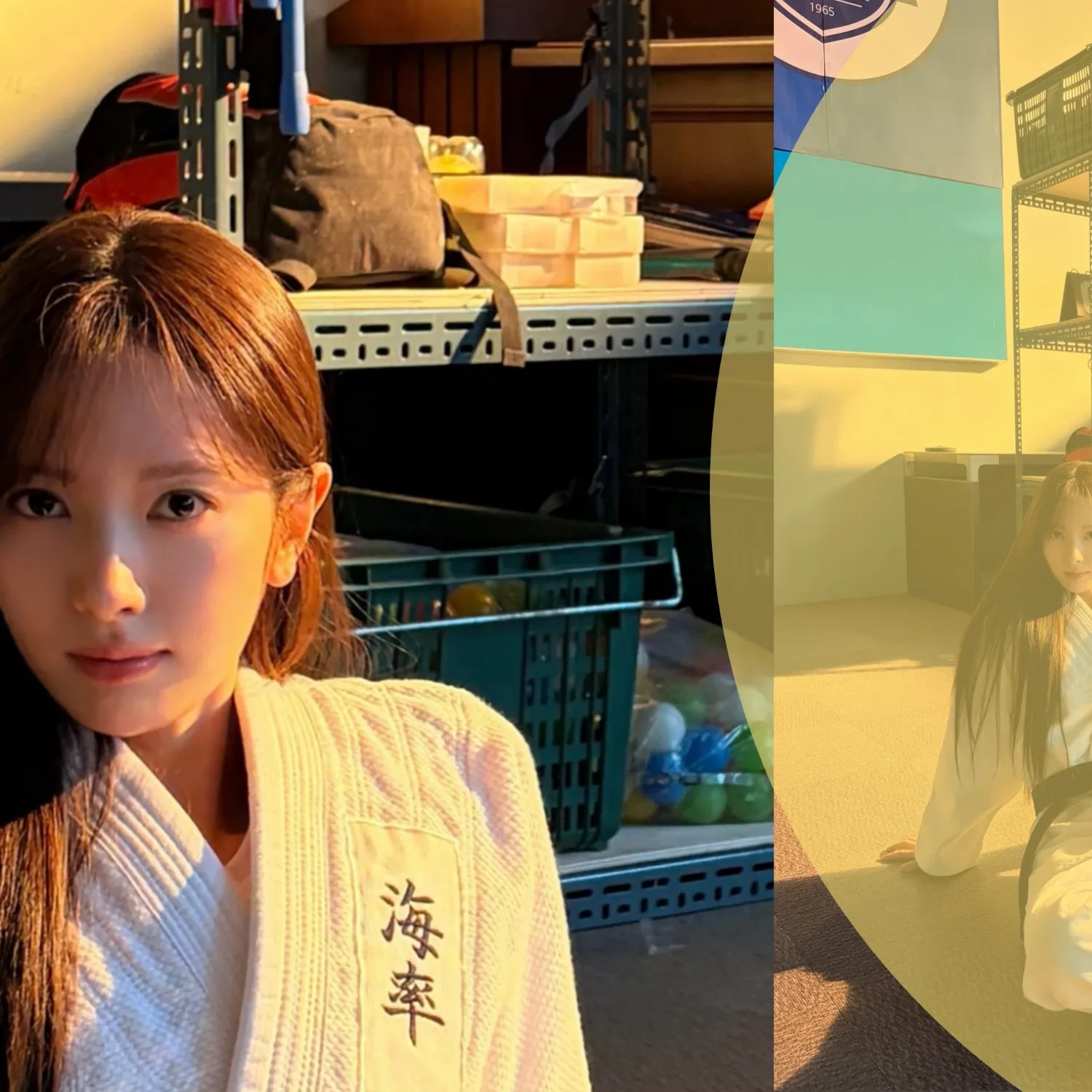 Recent activity shot of Bona