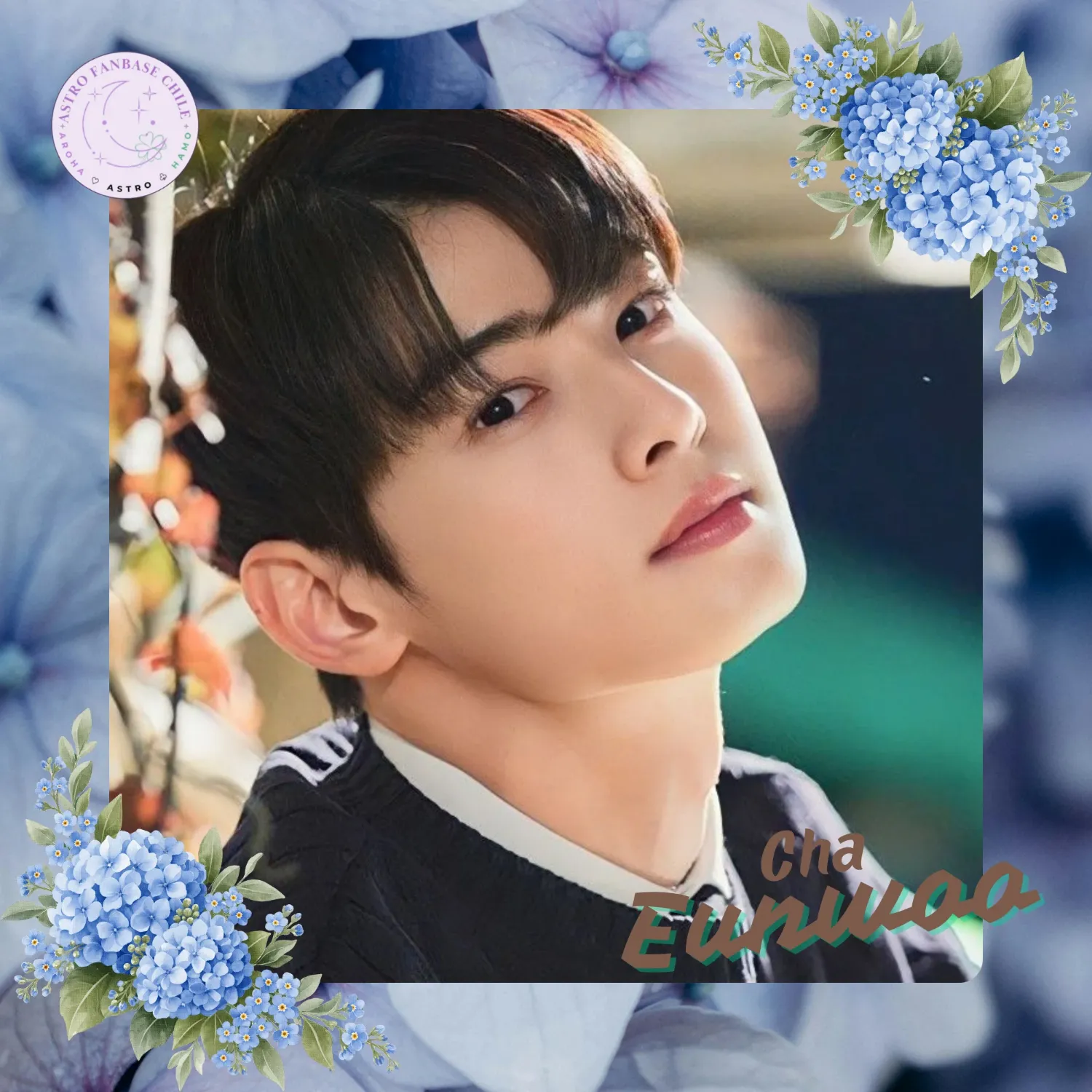 Recent activity shot of Cha Eunwoo