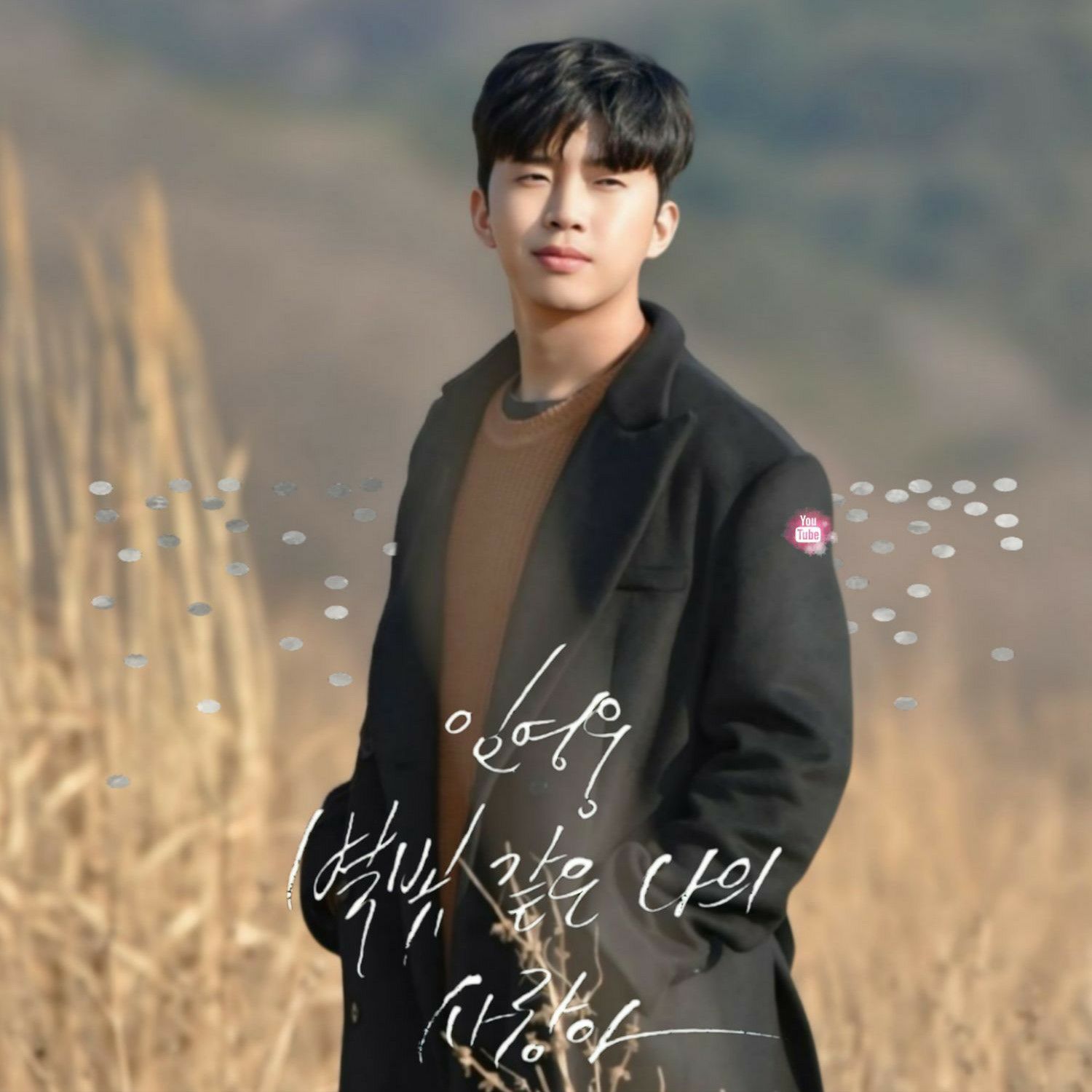 Momen yang diabadikan oleh penggemar Lim Youngwoong