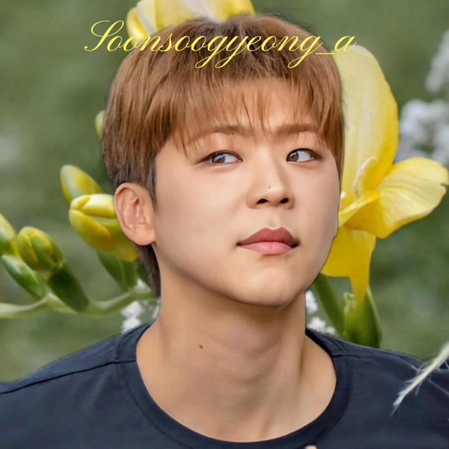 지금 주목받는 셀럽 게시글