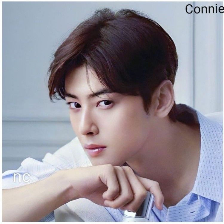 Behind-the-scenes cut of Cha Eunwoo