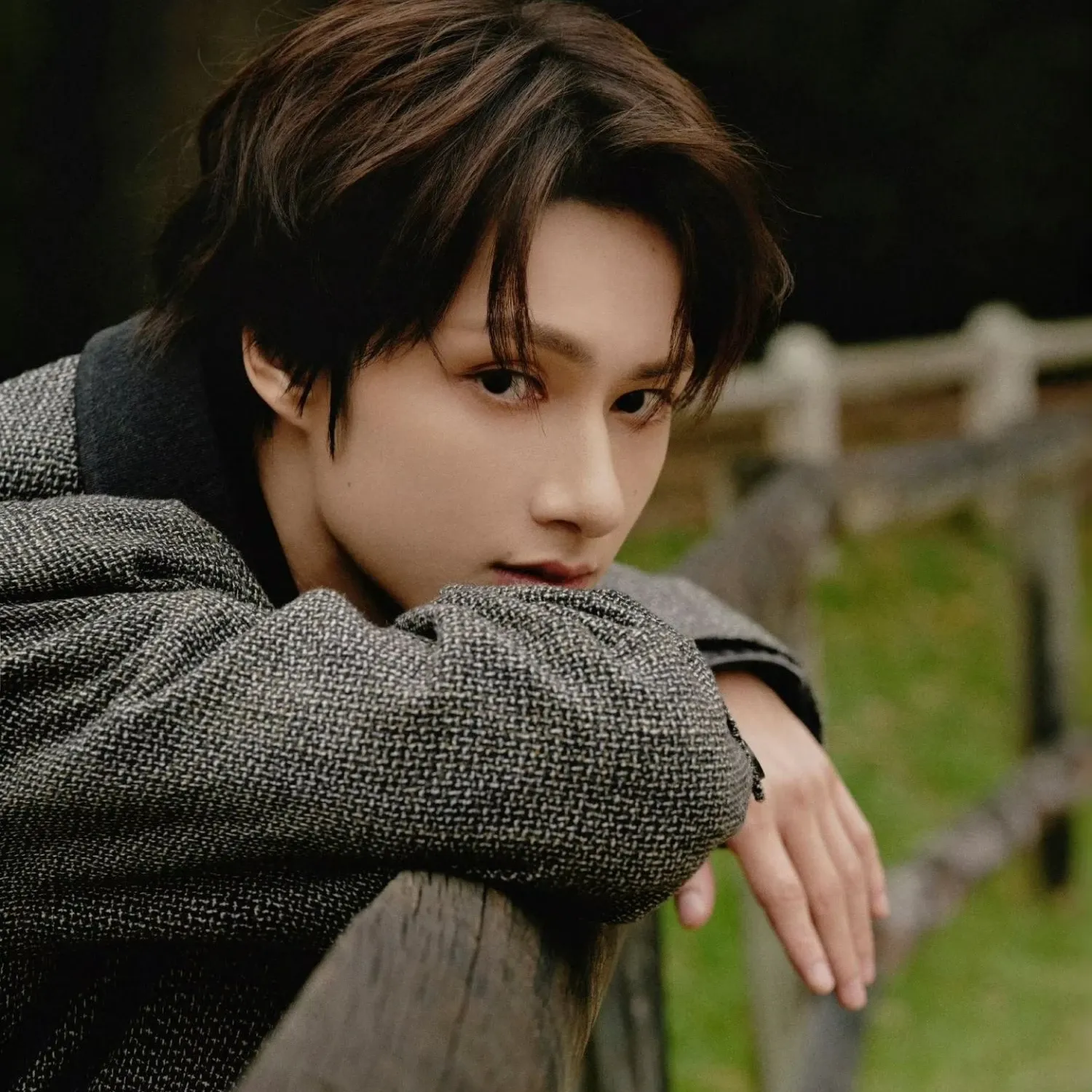 A moment captured by a fan of Wen Junhui