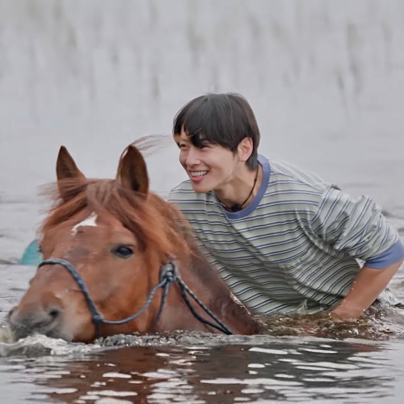 粉絲拍下的車銀優瞬間