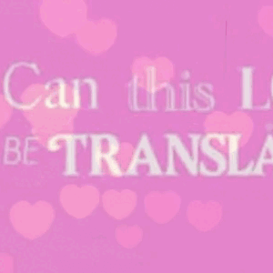 金宣虎的最新照片