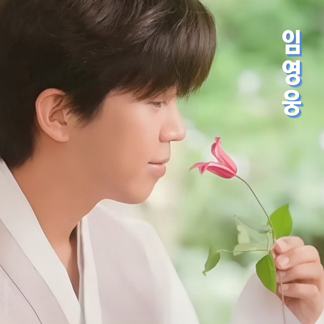 임영웅 팬이 찍은 순간