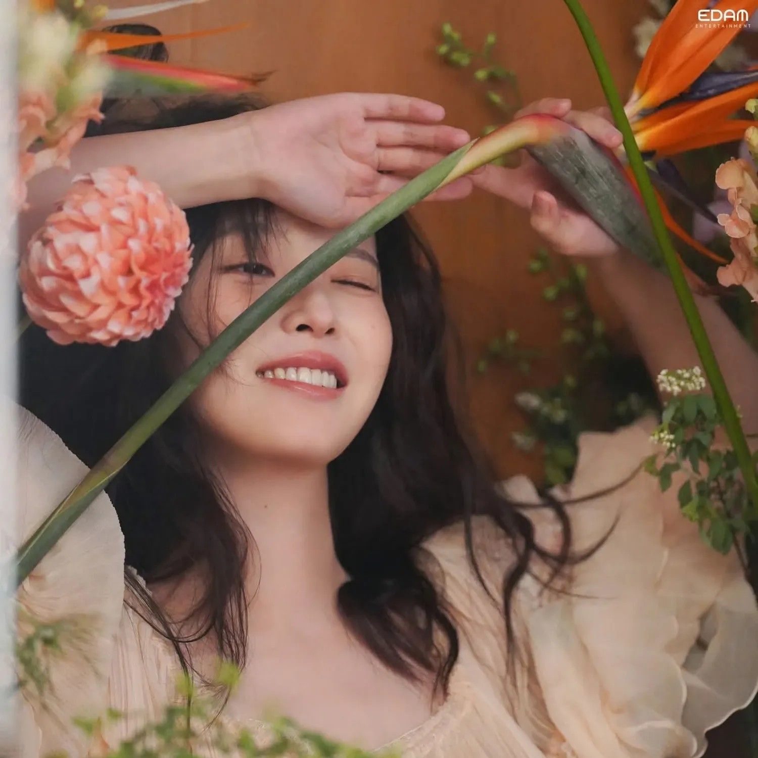 Recent activity shot of IU