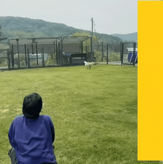 金高銀的近期活動照