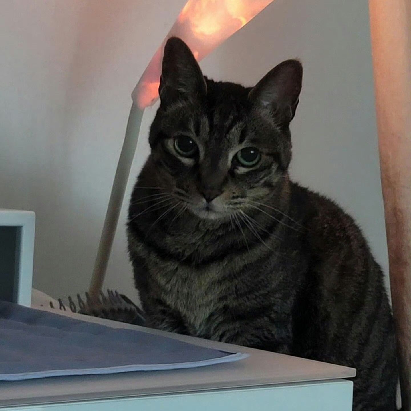 粉丝拍下的路云瞬间