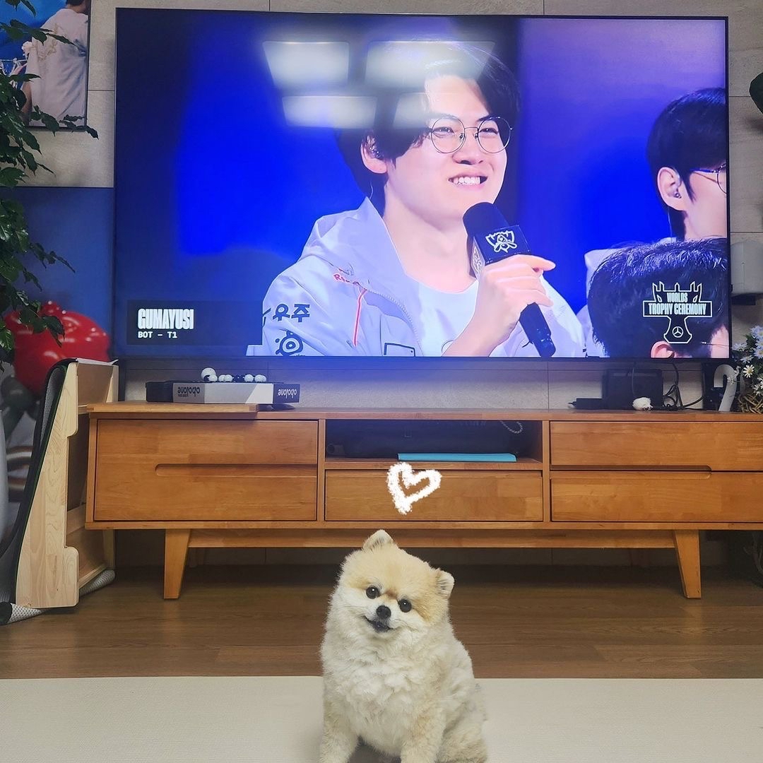 구마유시 팬이 찍은 순간