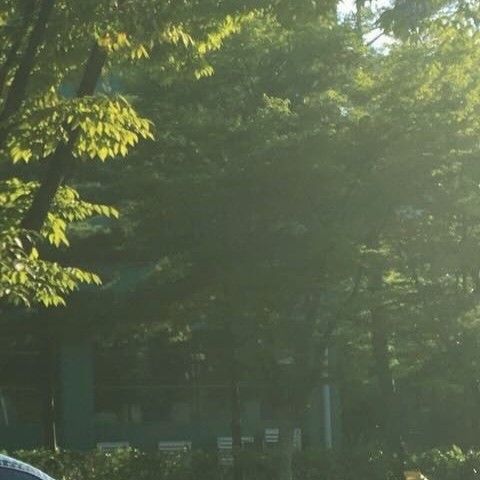 Behind-the-scenes cut of Park Seoham