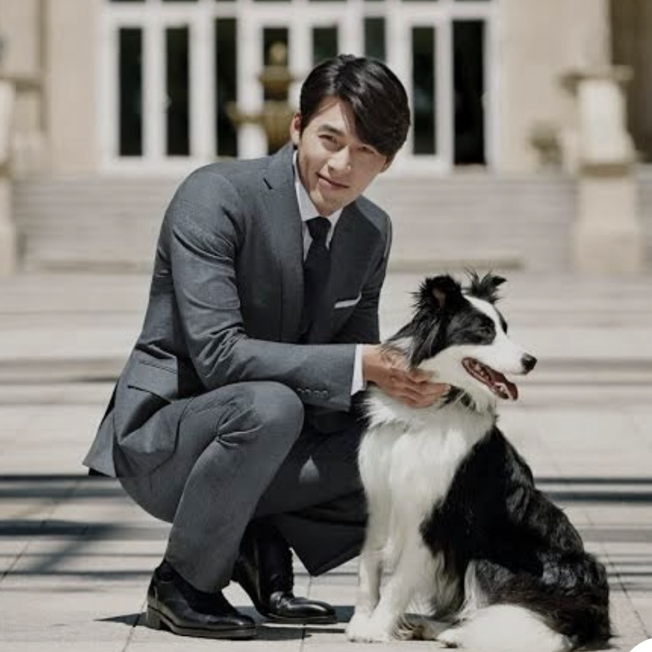현빈 최근 활동샷