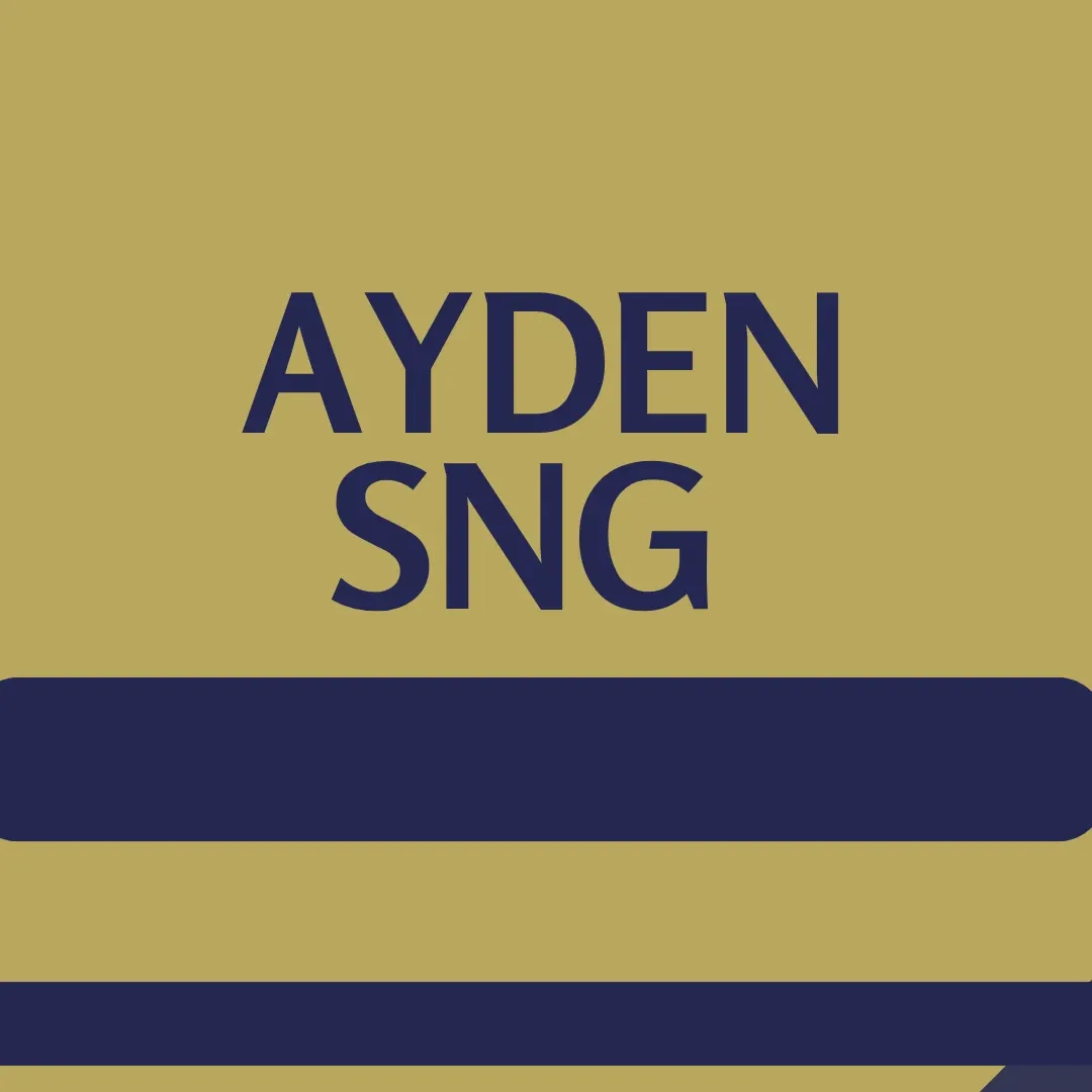 Recent activity shot of Ayden Sng