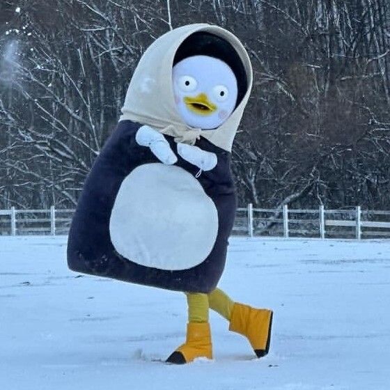 Momen yang diabadikan oleh penggemar Pengsoo