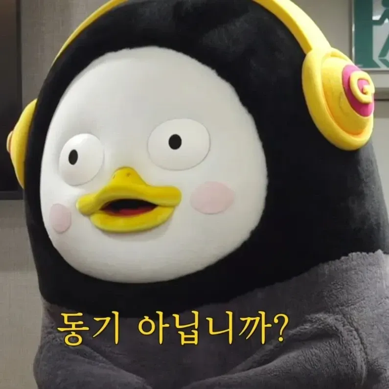 펭수의 비하인드 컷