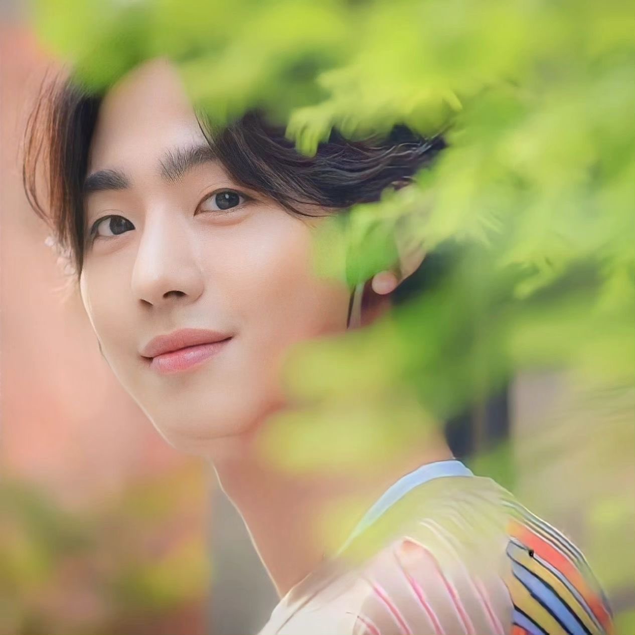 安孝燮的最新照片