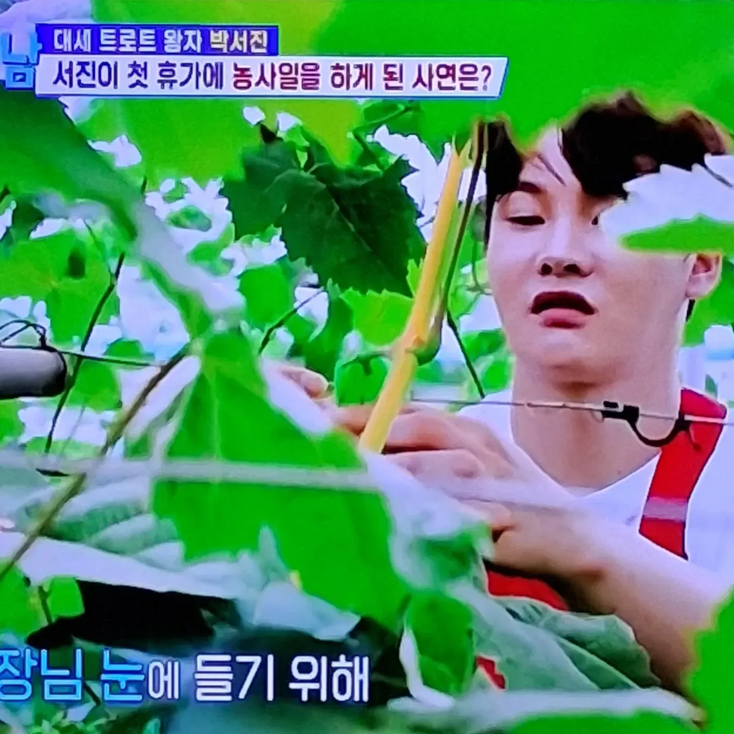 박서진 팬이 찍은 순간