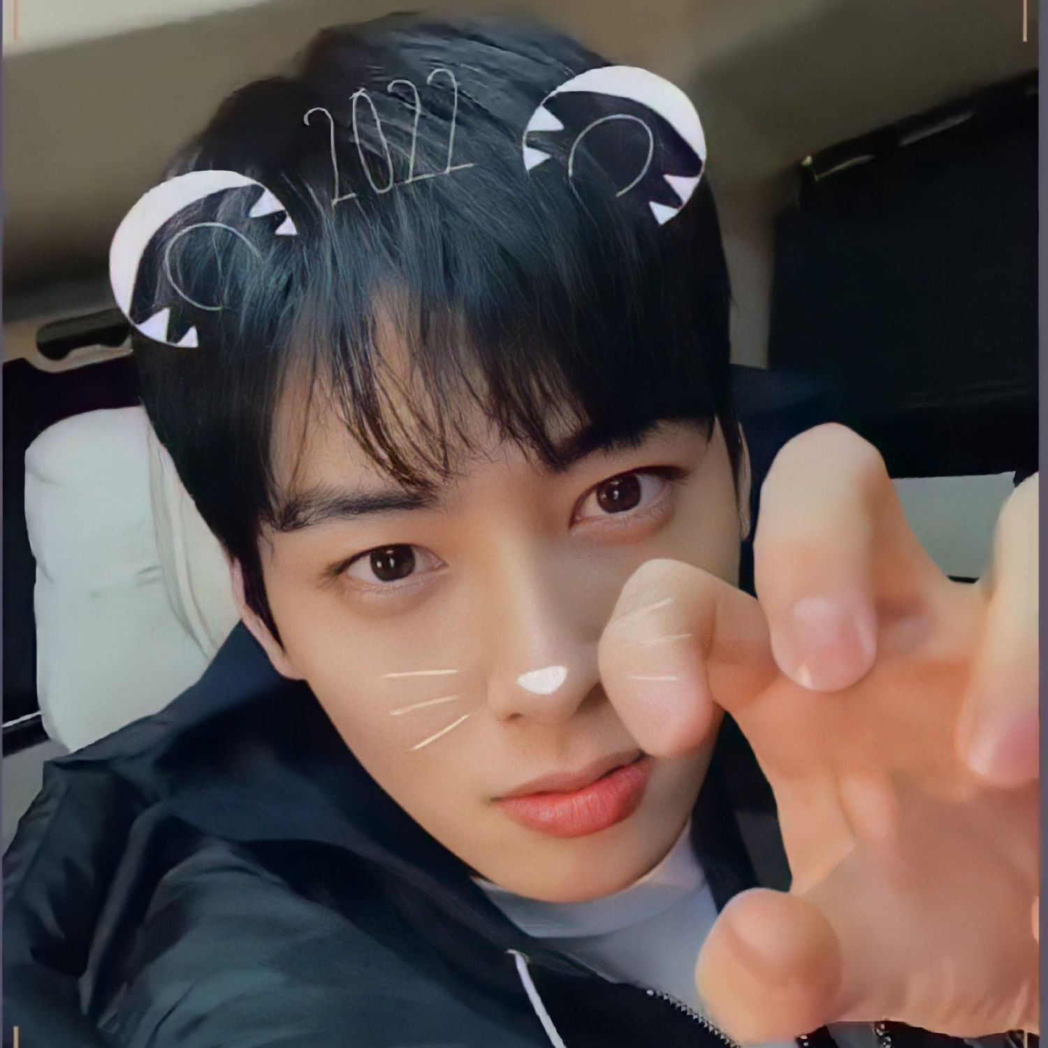 Recent activity shot of Cha Eunwoo