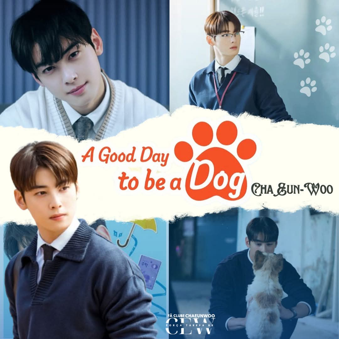 车银优的近期活动照