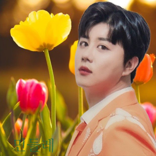 A moment captured by a fan of Jin Haesung