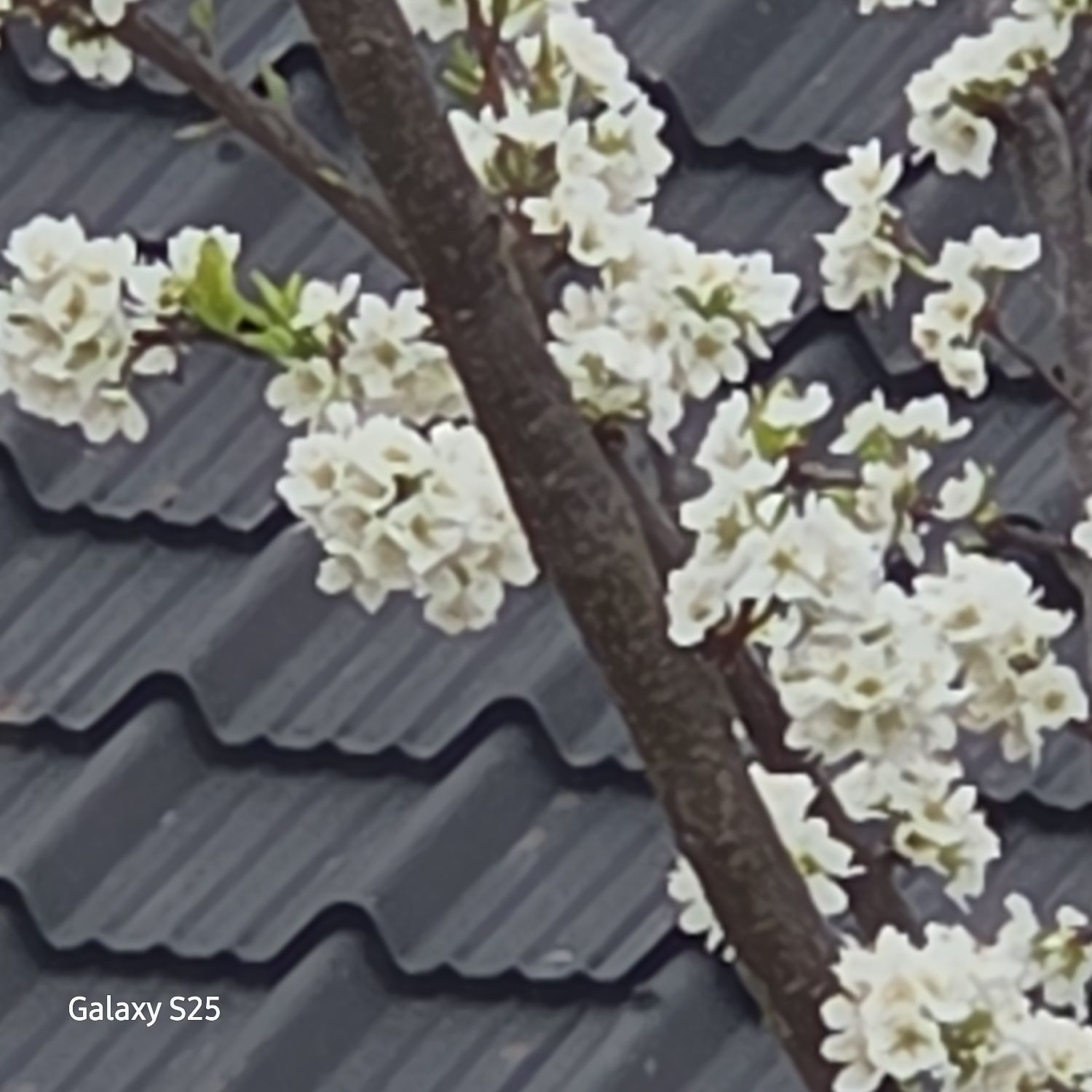 張民好的最新照片