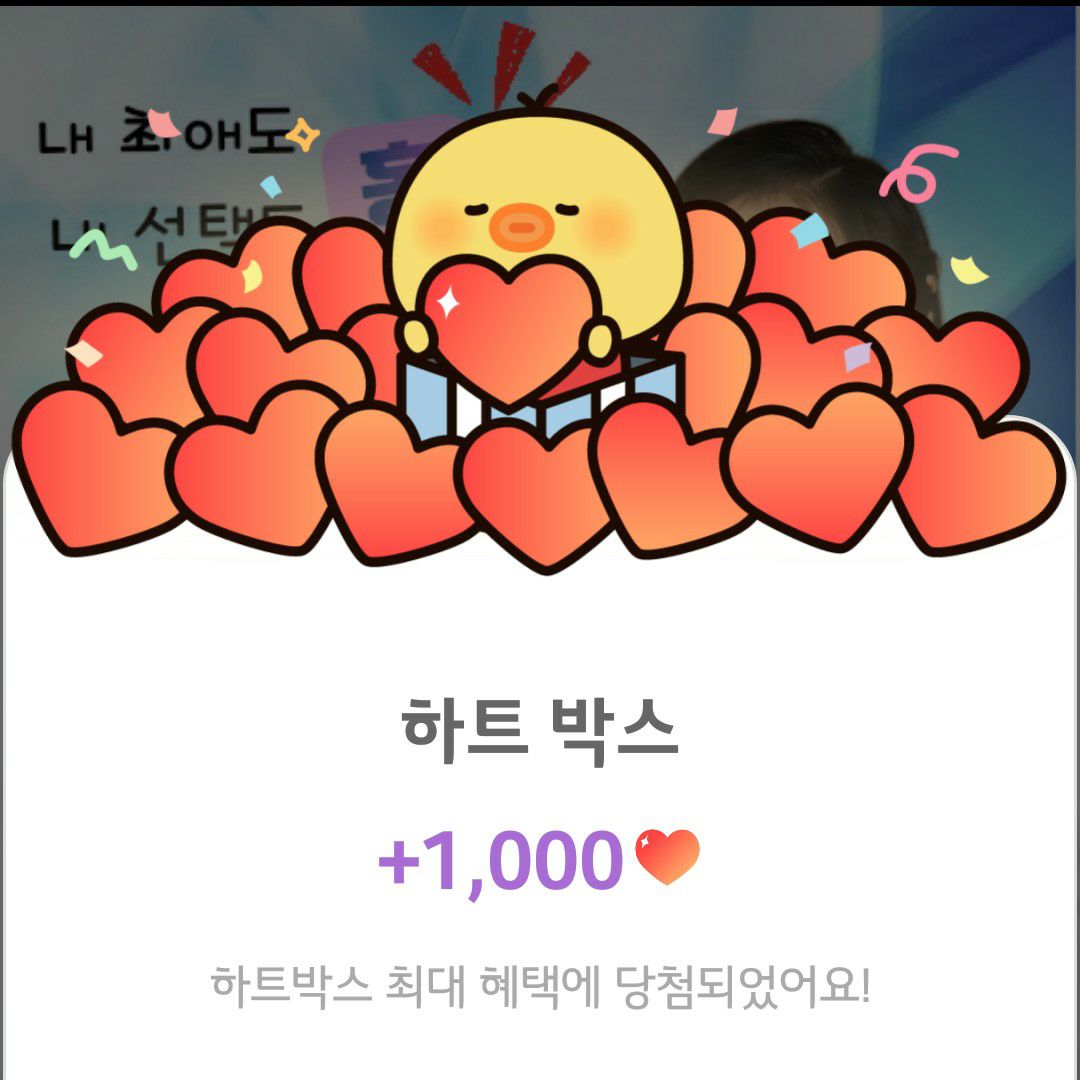 홍자의 최신 사진