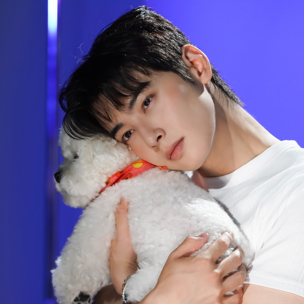 車銀優的近期活動照