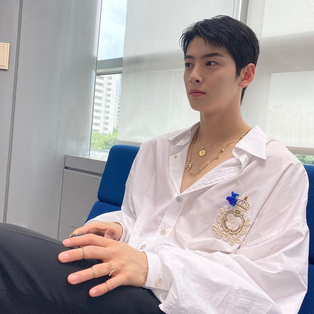 차은우 팬이 찍은 순간