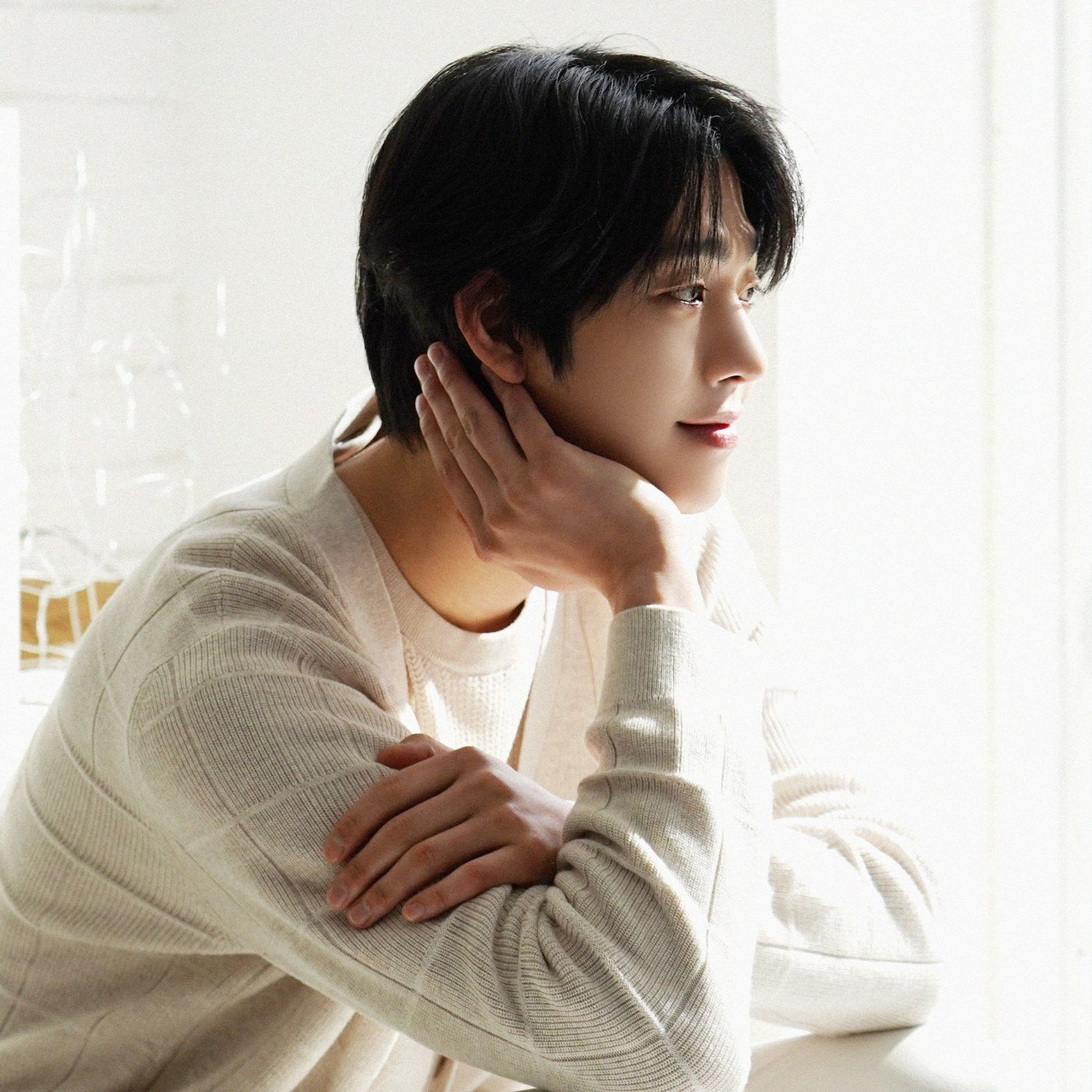 安孝燮的幕后花絮