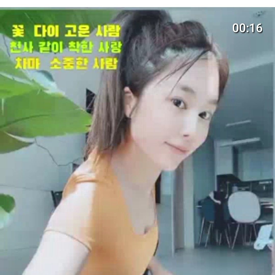 金韶宥的近期活動照