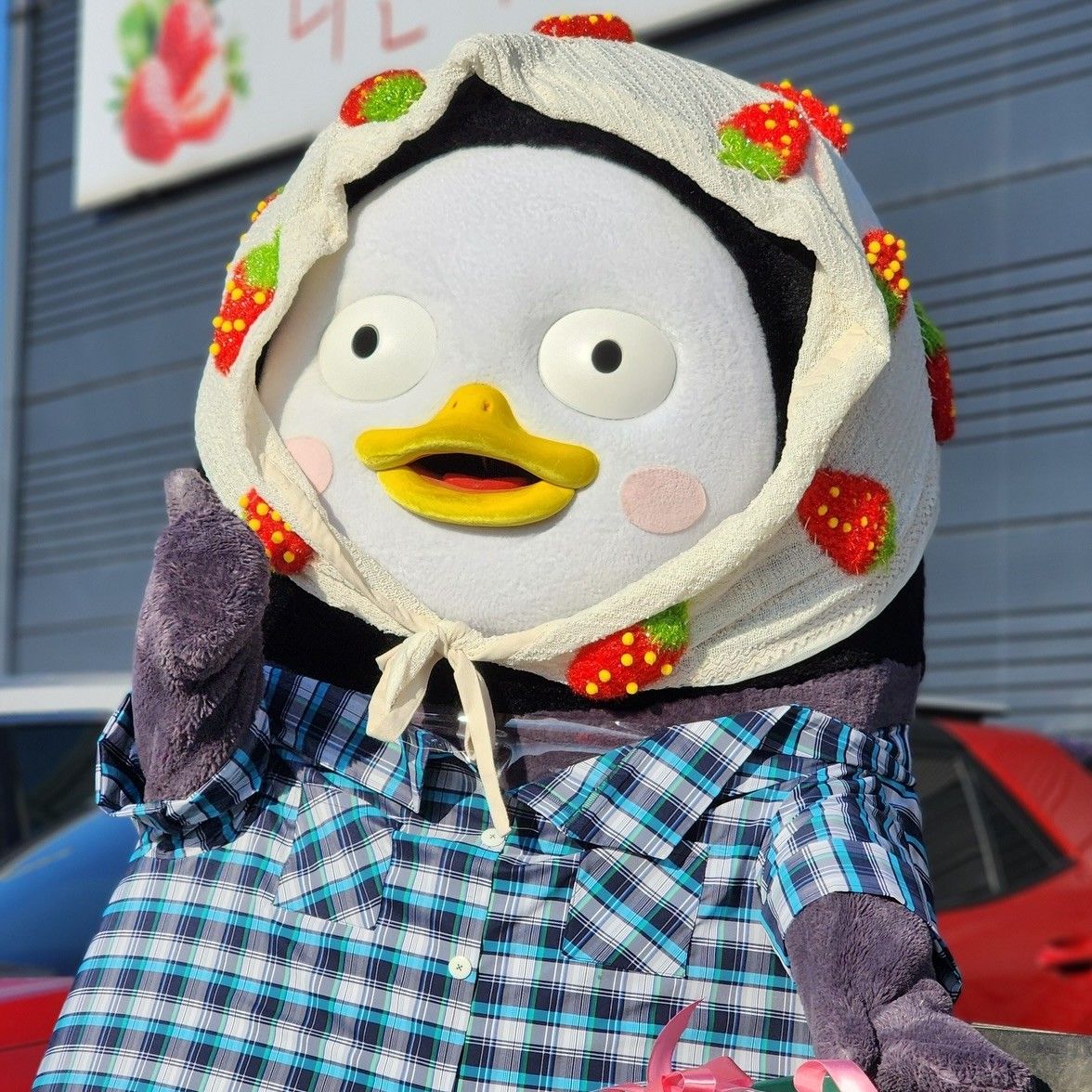 Cuplikan di balik layar dari Pengsoo