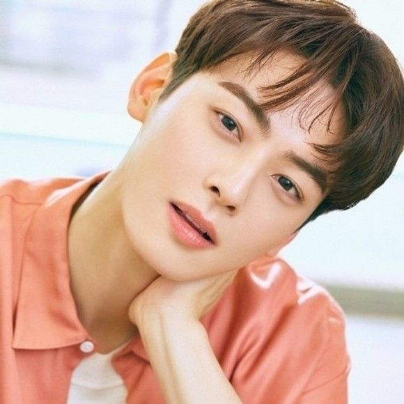 A moment captured by a fan of Cha Eunwoo