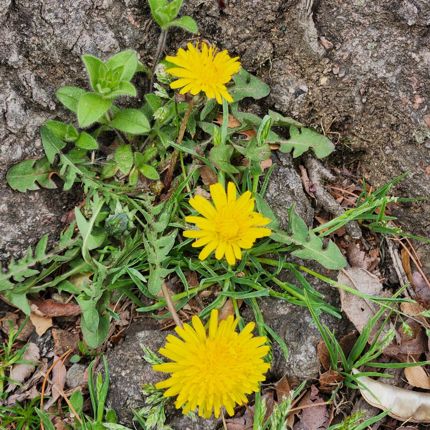 이찬원의 비하인드 컷