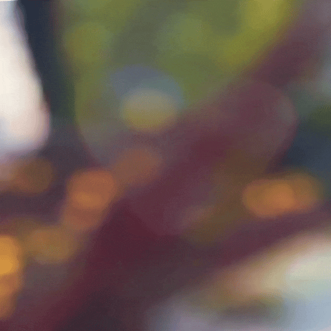Behind-the-scenes cut of Jang Nara